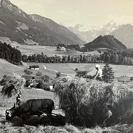 Apartment Alpenflair Schulz *